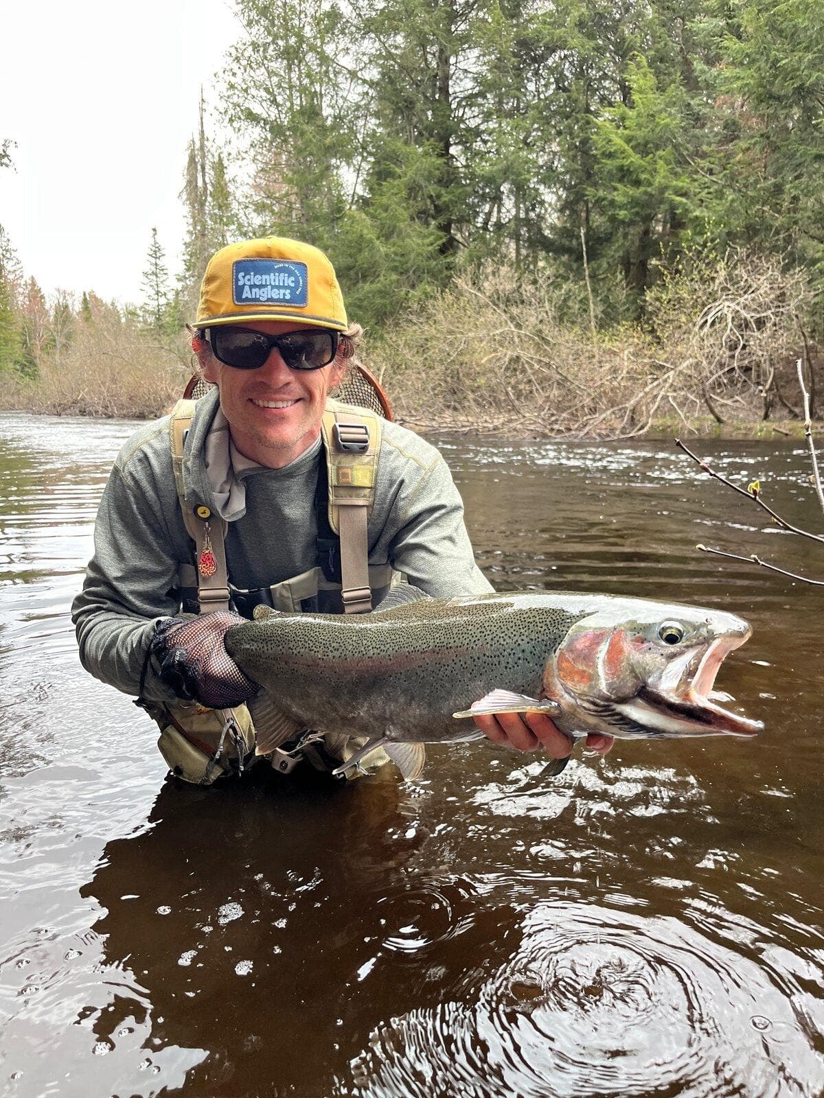 An angler kneeling in the river holding a bright steelhead with a pink lateral band