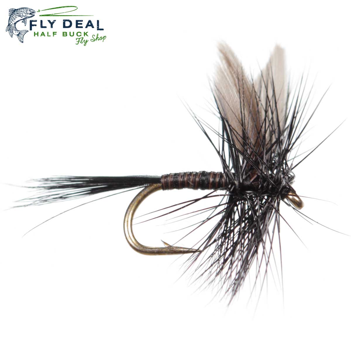 Black Quill Parachute (reference photo)
