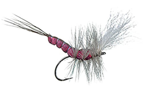 Boondoggle Hex (reference photo)