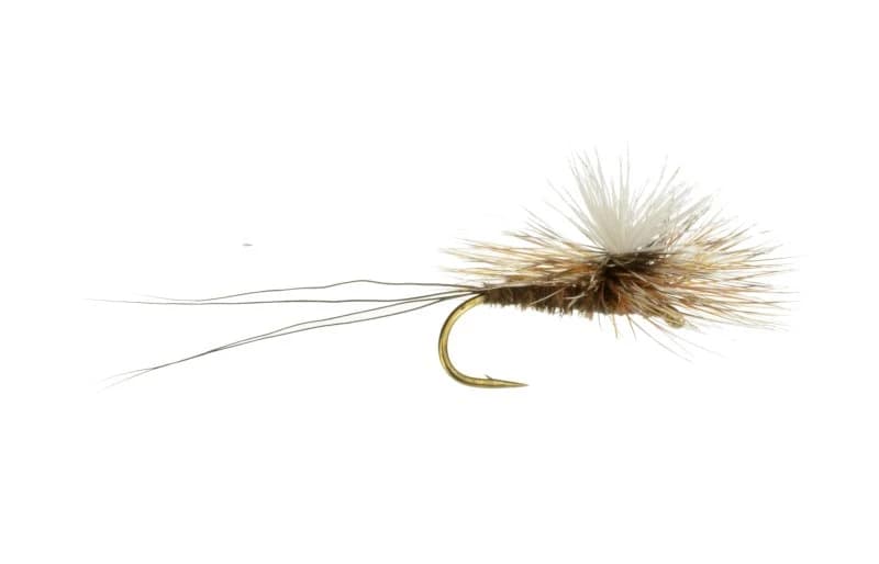 Borchers Parachute (reference photo)