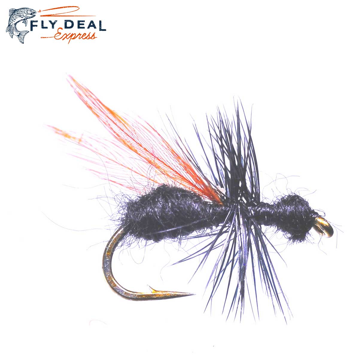 Flying Ant (reference photo)