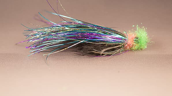 Feenstra's Grapefruit Head Leech (reference photo)