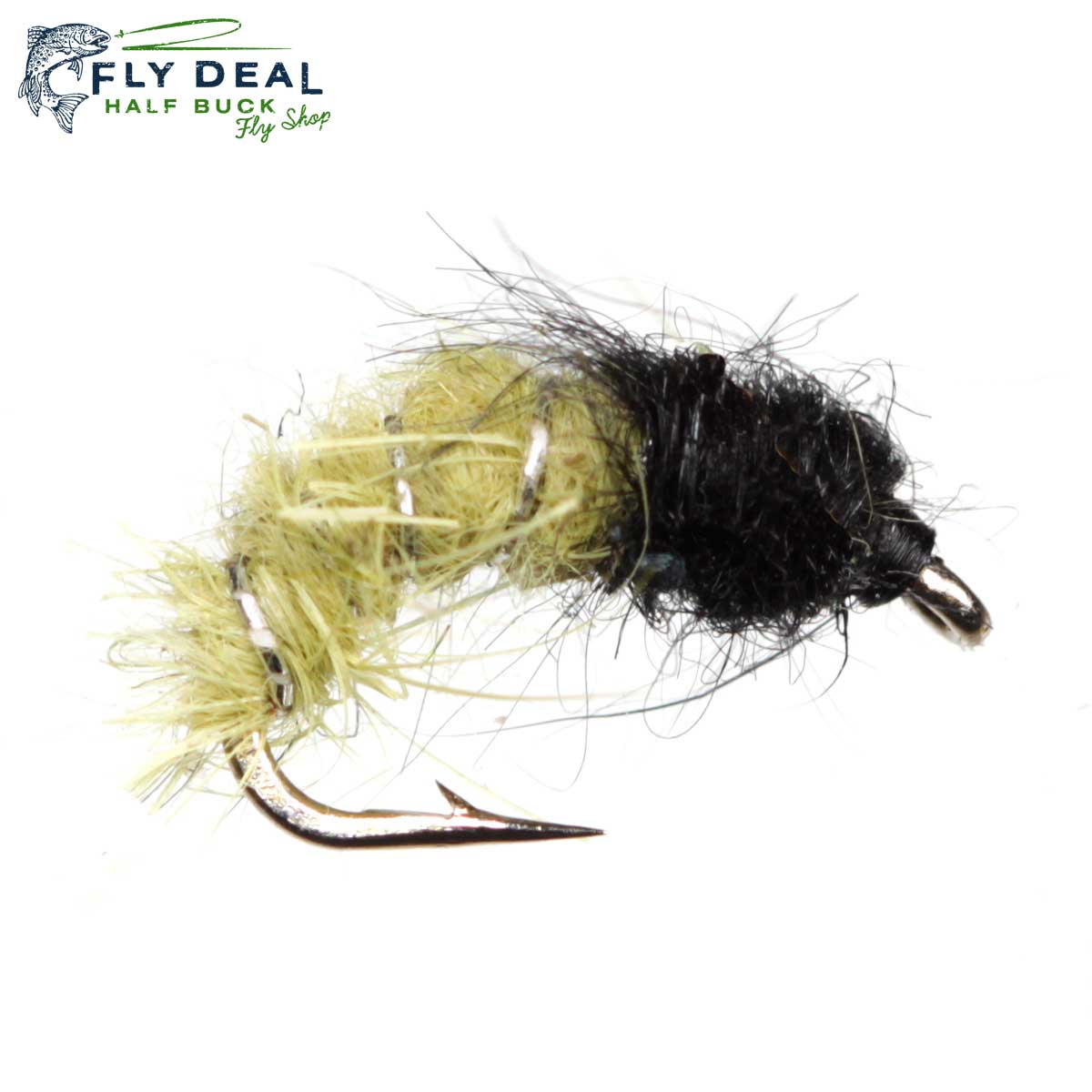 Green Caddis Larva (reference photo)