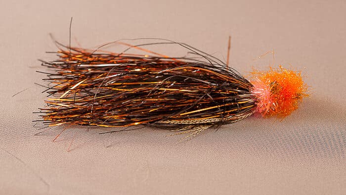 Feenstra's Halloween Leech (reference photo)