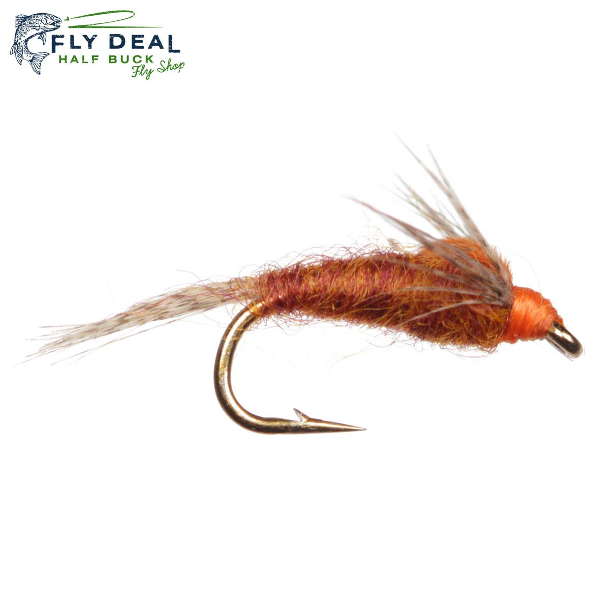 Isonychia Nymph (reference photo)