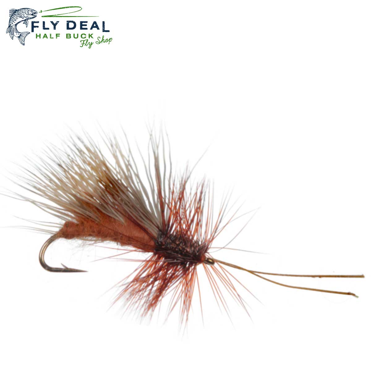 October Caddis (reference photo)