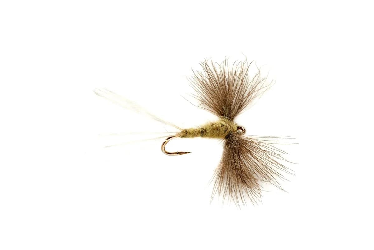 Regan's Hendrickson Spinner (reference photo)