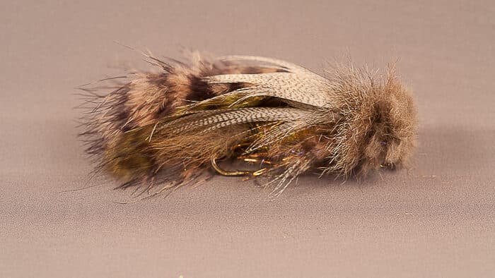 Feenstra's River Chicken (reference photo)