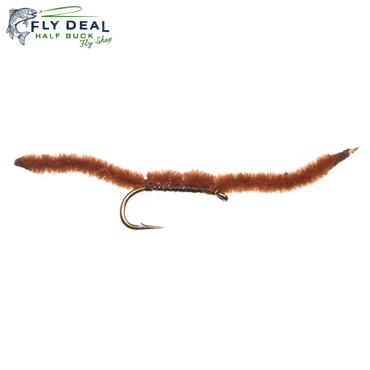 San Juan Worm reference photo
