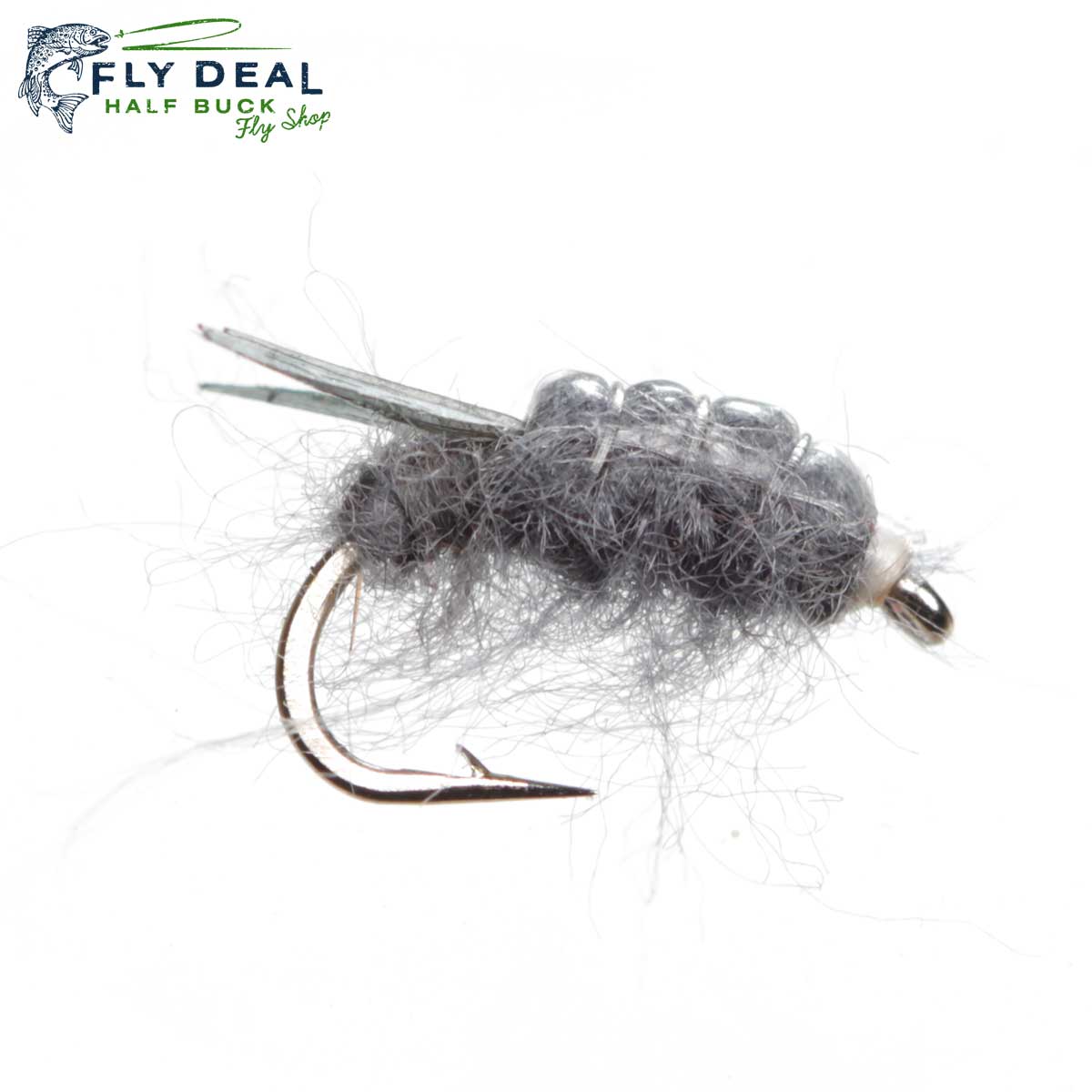 Sowbug (reference photo)