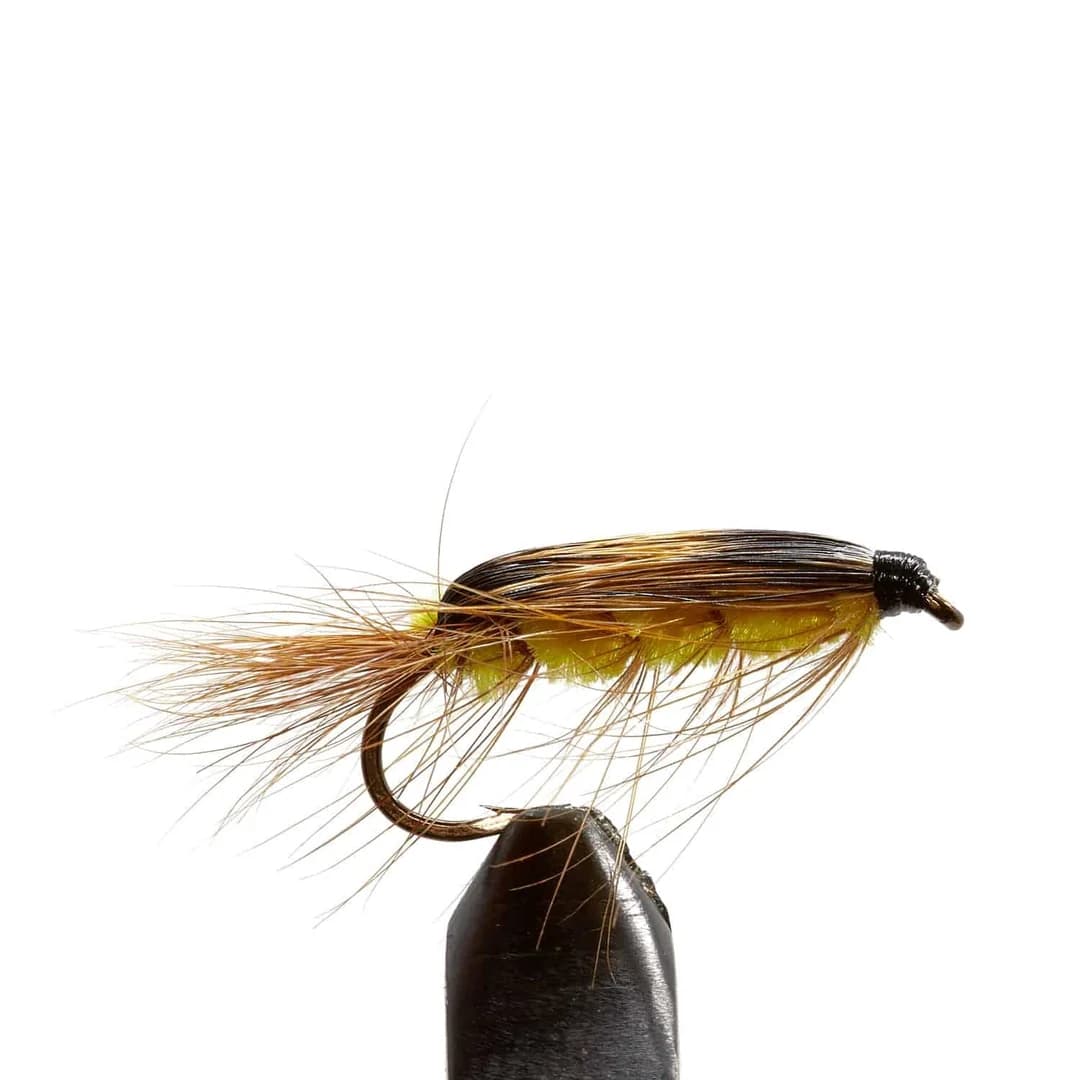 Spring Wiggler (reference photo)
