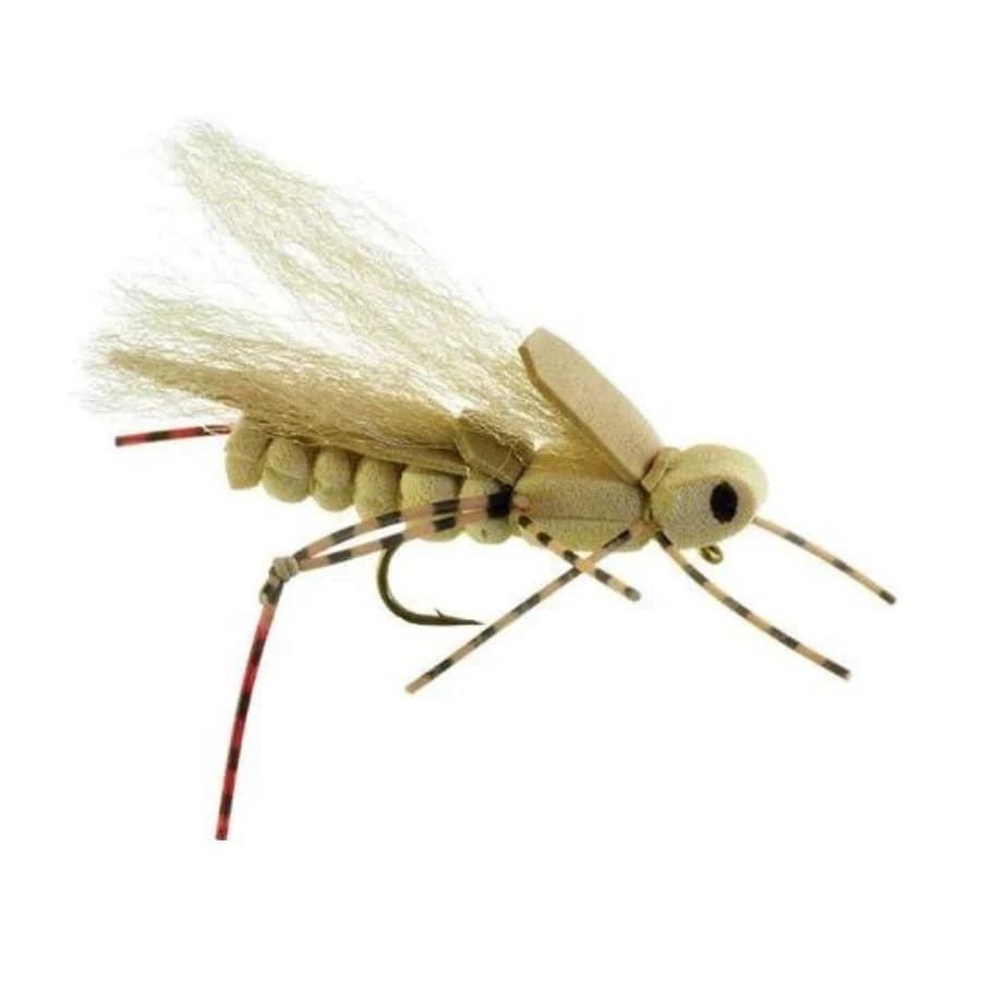 Sweetgrass Hopper (reference photo)