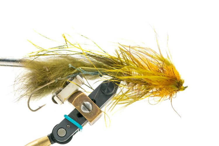 Feenstra's Toadbreaker Sculpin (reference photo)
