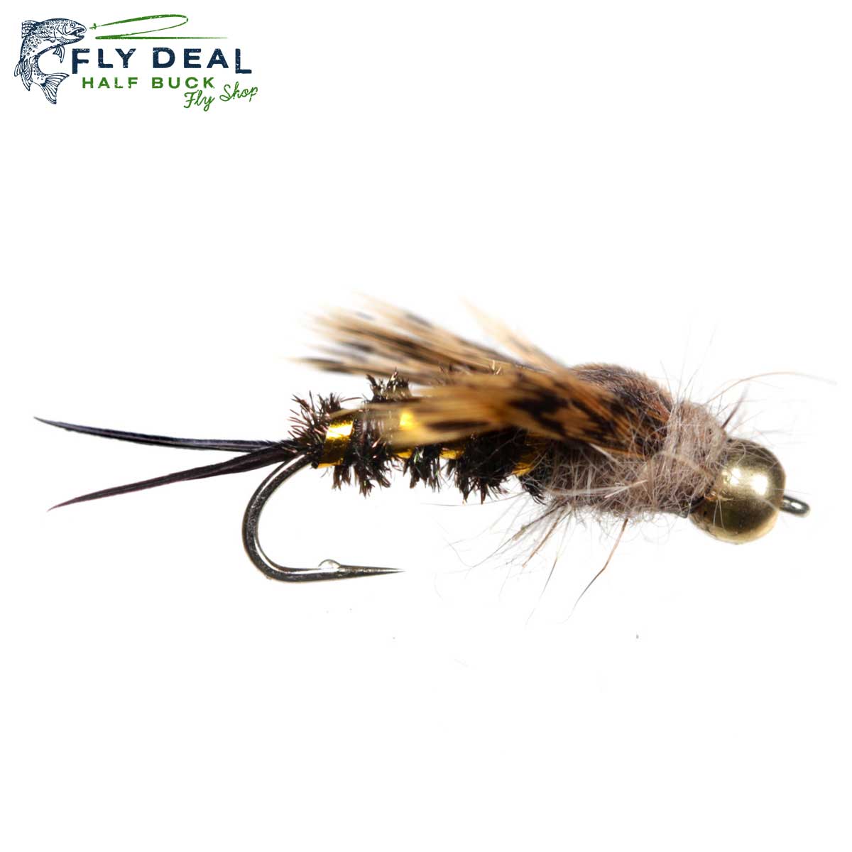 20 Incher (reference photo)