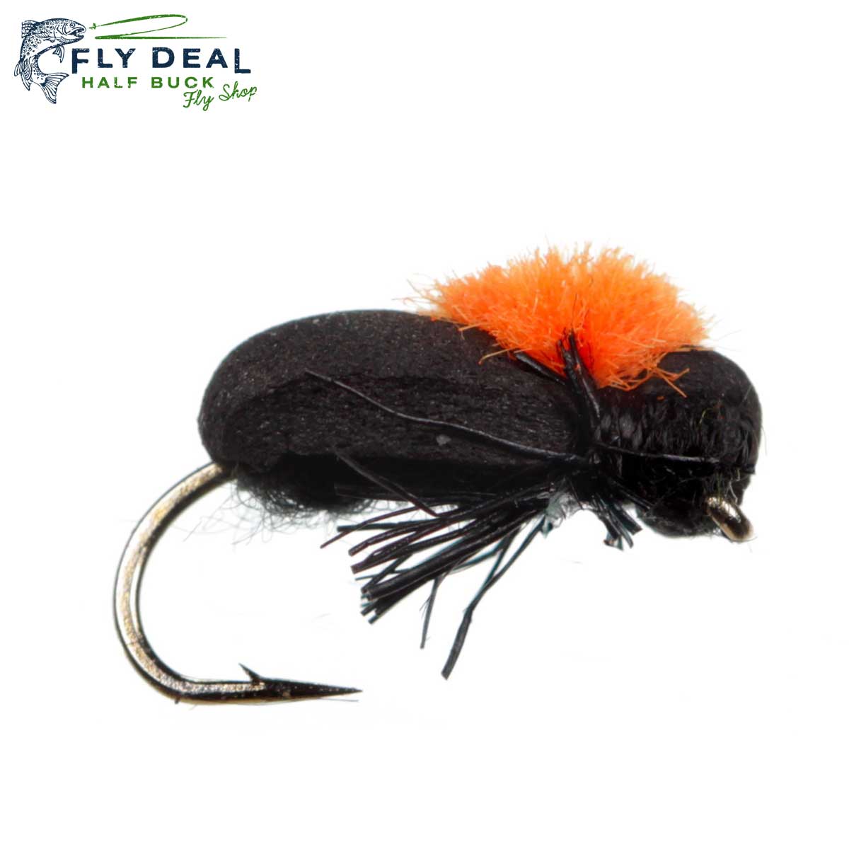 XO Beetle (Foam Beetle) (reference photo)