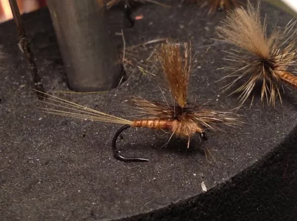 March Brown Parachute reference photo