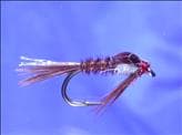Pheasant Tail Nymph reference photo